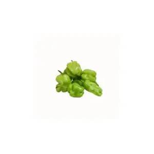 Green Scotch Bonnet Pepper