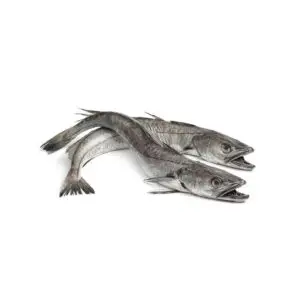 Hake Fish