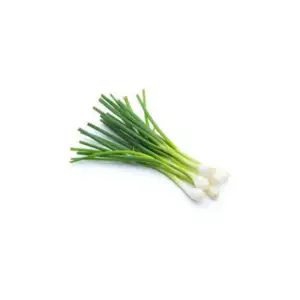 Spring Onion