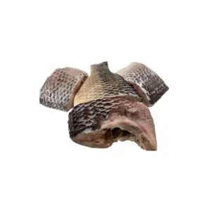 Tilapia Fish (Steak)