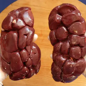 Beef Kidney