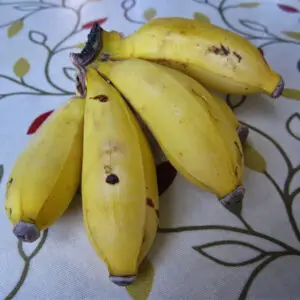 Apple Banana (Ugandan Banana)