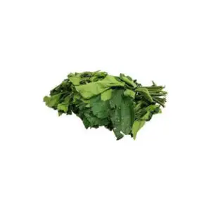 Fresh Ugwu Leaf